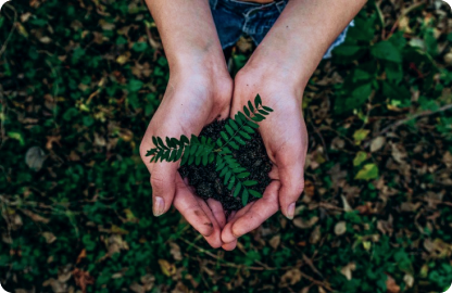 plant-adoption