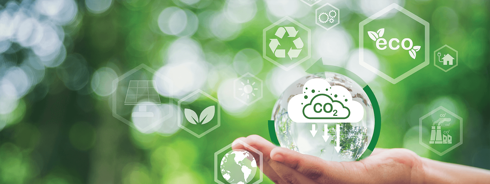 Carbon Neutrality