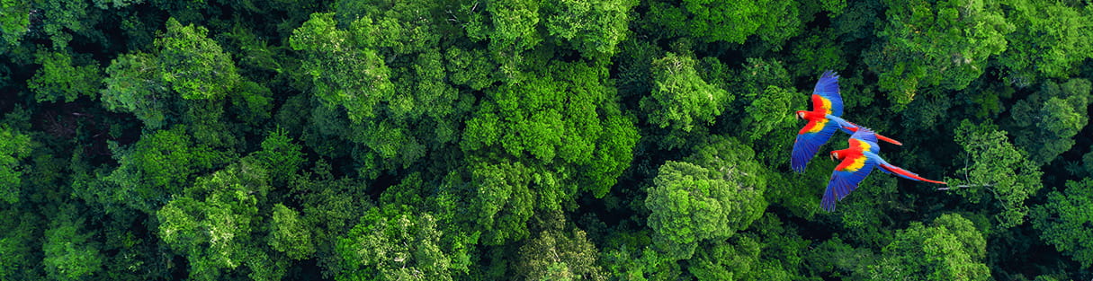 Sustainability Banner