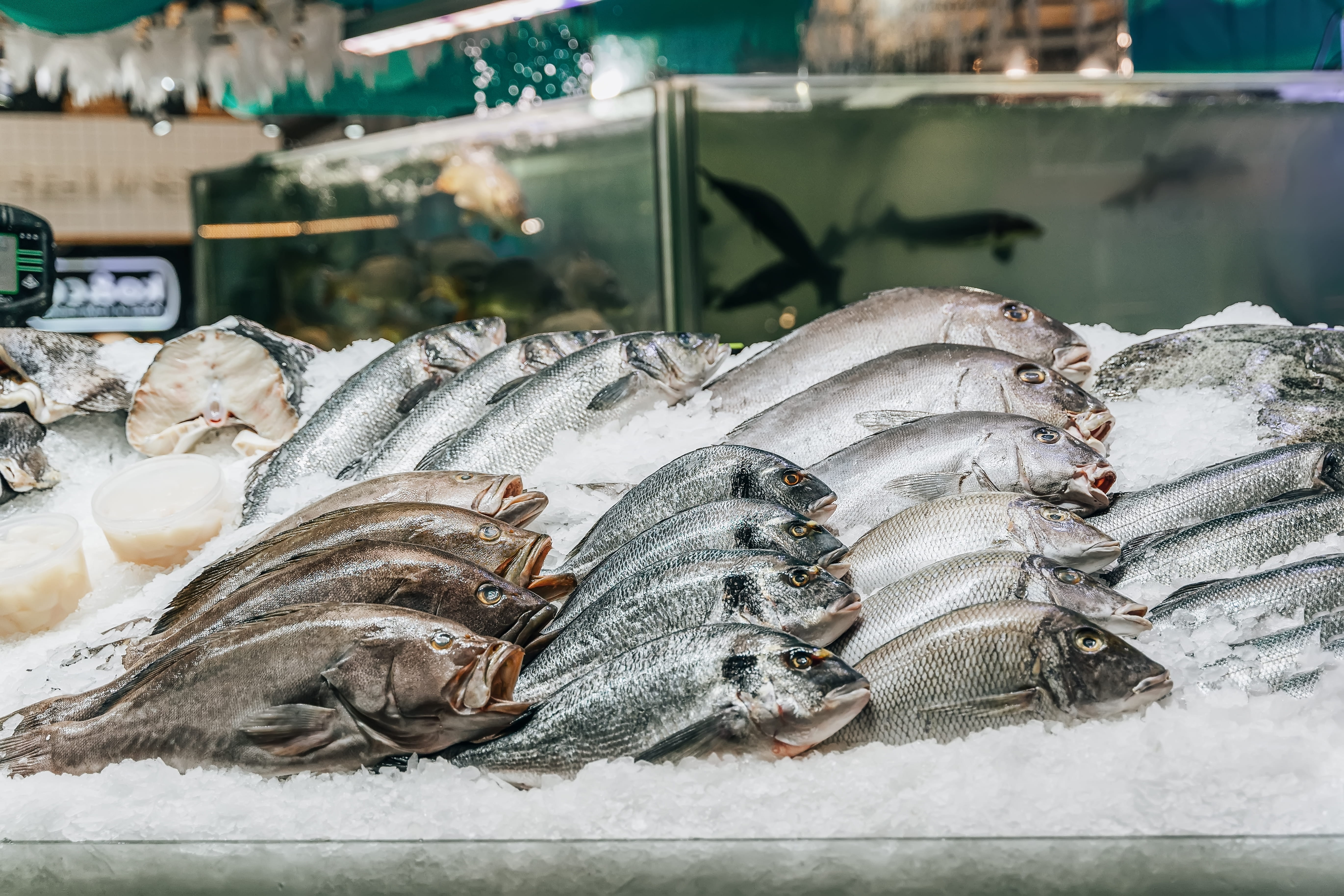 Seafood Wholesaler: Streamlined Operations