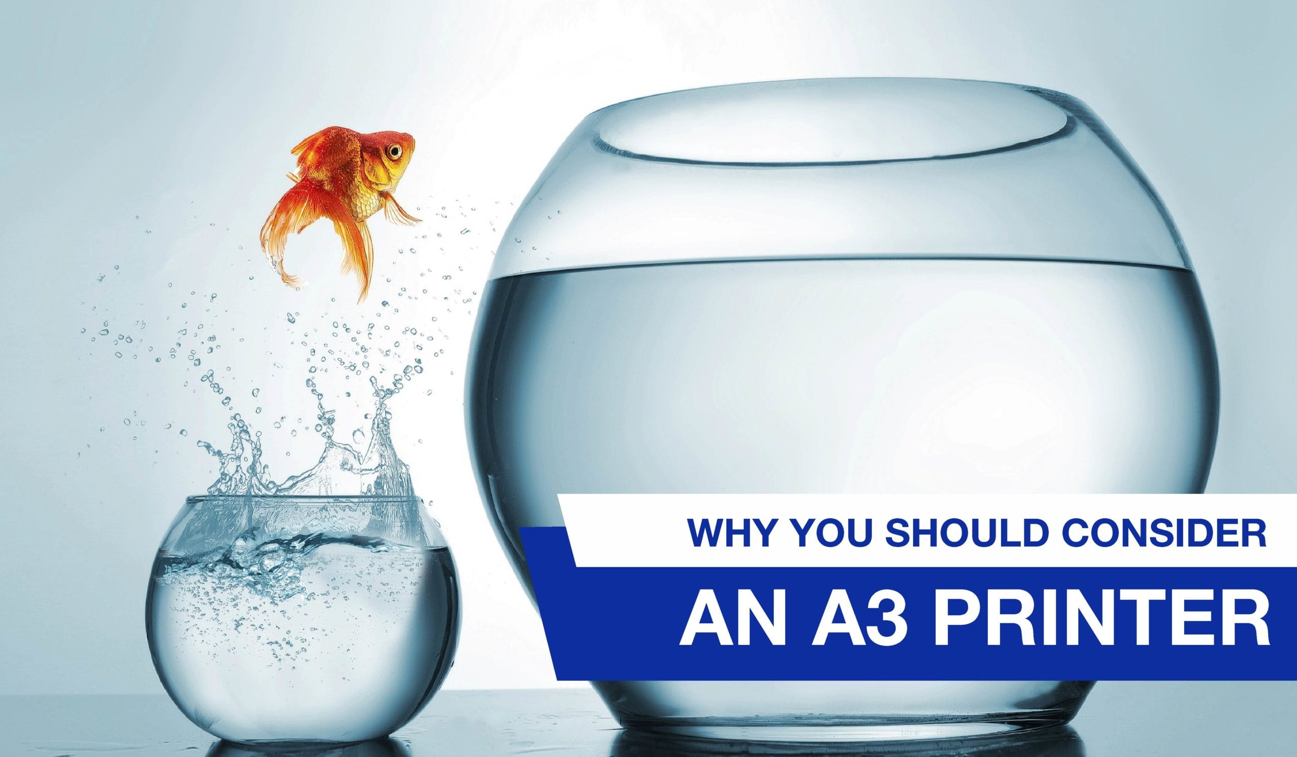 The Best Affordable Printers for Students